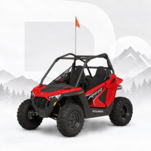 Polaris RZR 200 EFI