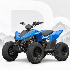 Linhai ATV 110
