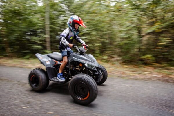 Linhai ATV 110