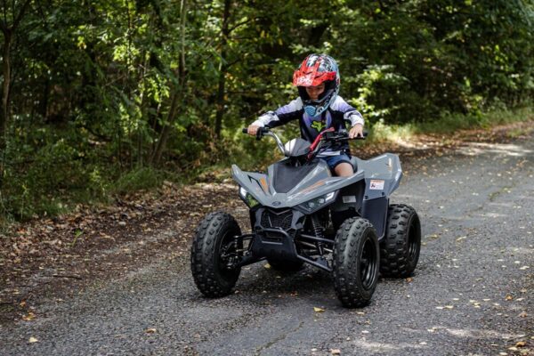 Linhai ATV 110