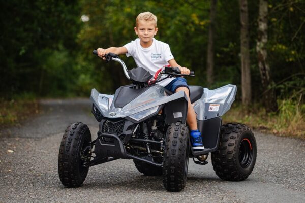 Linhai ATV 110