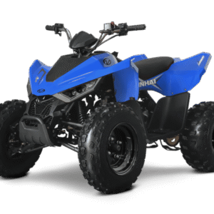 Linhai ATV 110