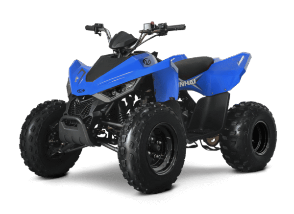 Linhai ATV 110