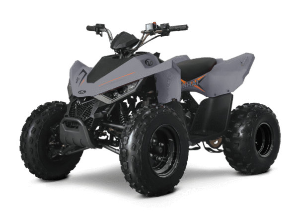 Linhai ATV 110