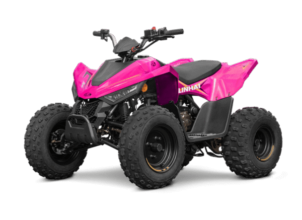 Linhai ATV 110