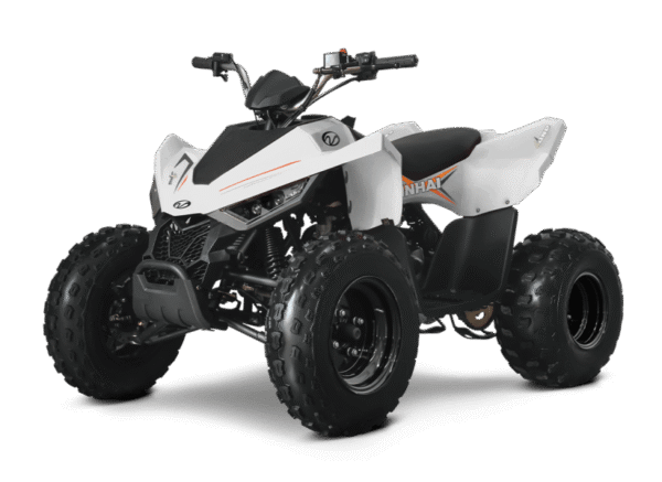 Linhai ATV 110